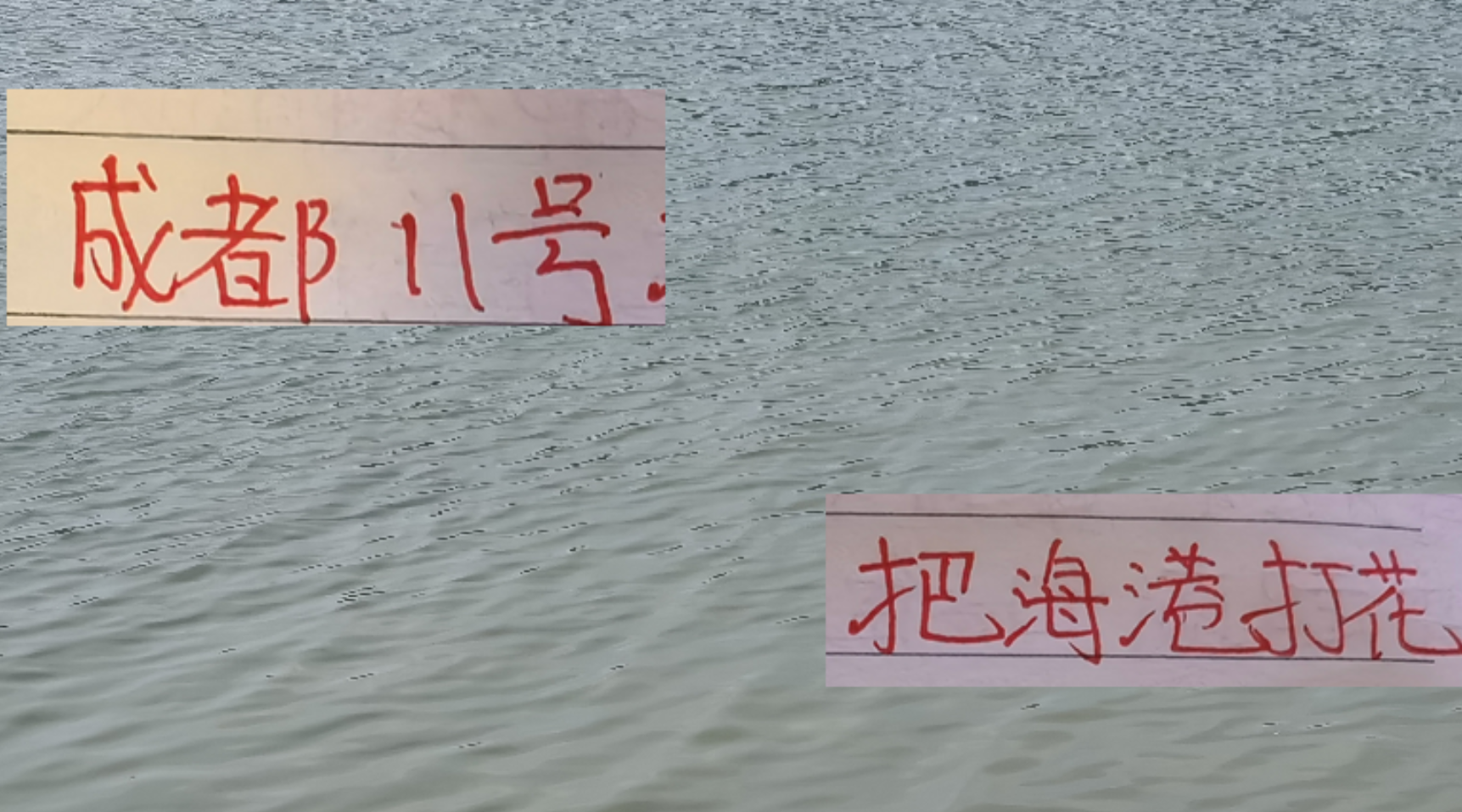 成都11号真是海港煞星！古尔芬克尔半小时内就把双冠王打花了